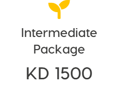 Intermedia Package